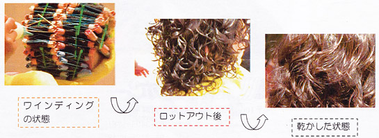バイオメント